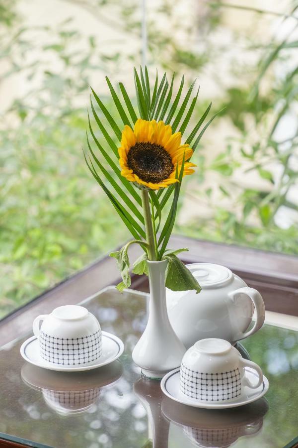 Golden Soulmate Homestay Hoi An Bagian luar foto